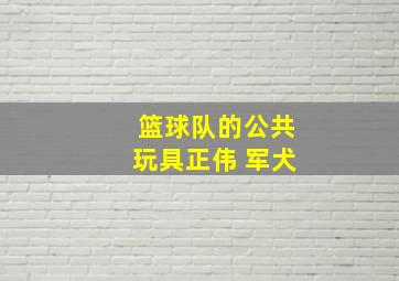 篮球队的公共玩具正伟 军犬